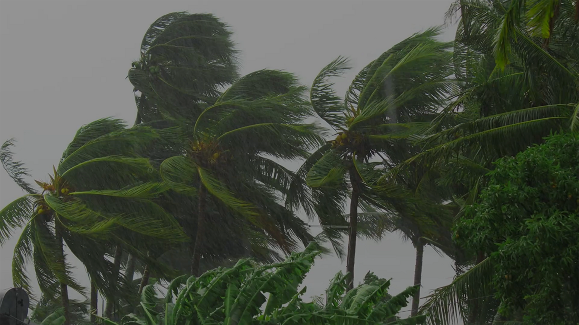 Tropical Storm cover image 1280x720